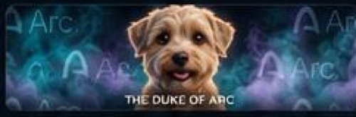 The Duke of Arc artwork